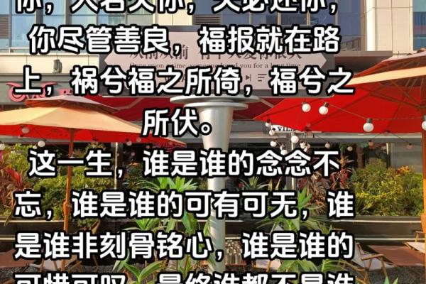 救你一命，换你一命：相互救助的深刻含义与生活启示