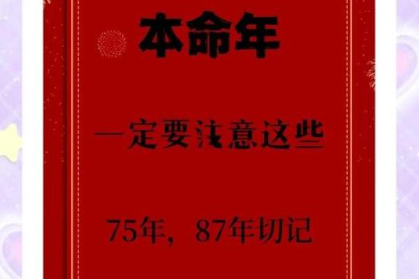 1987年兔年命运：细说兔性格与命运之旅