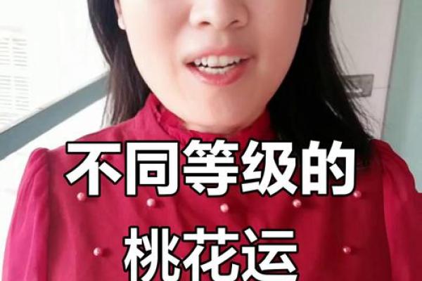 命里桃花几朵，爱情运势解析与生活启示