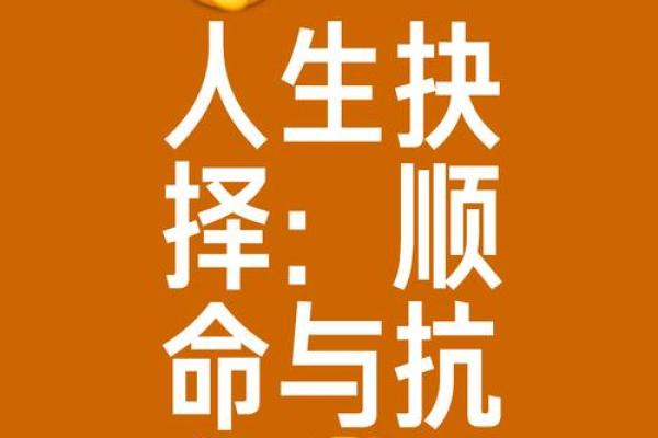 命运与追求：探寻人生的高度与深度