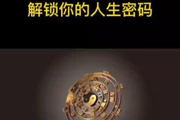 黑色小鸡的命运密码：揭示它们背后的奇妙故事与信仰