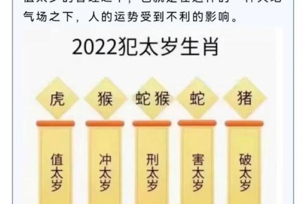 1996年出生的鼠年命运解析：从个性到运势的全面解析