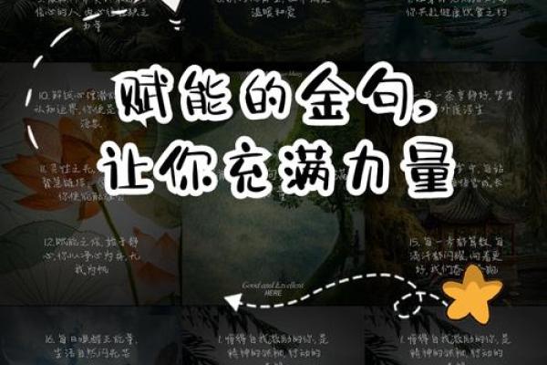 桑松木命所需的旺色解析：如何为你的人生赋能？