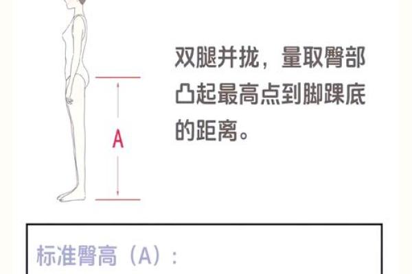 腿短屁股大的命运揭秘：如何转变为个人优势