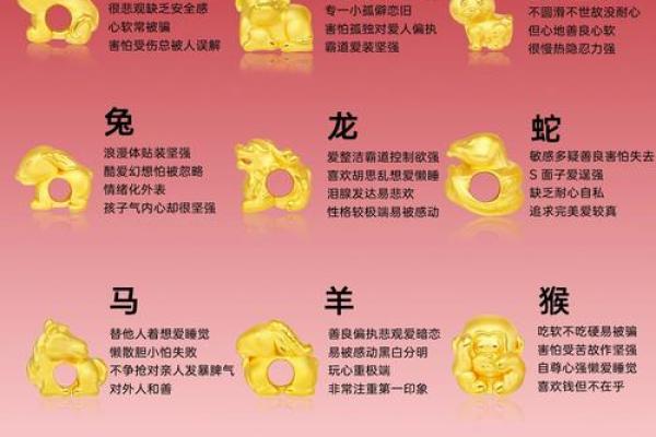 水命人的生肖与命理解析：你属于哪个生肖？