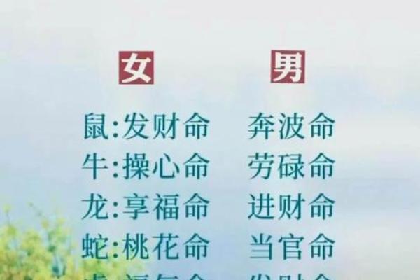 揭秘：哪些生肖拥富贵命格，财富自由不是梦！