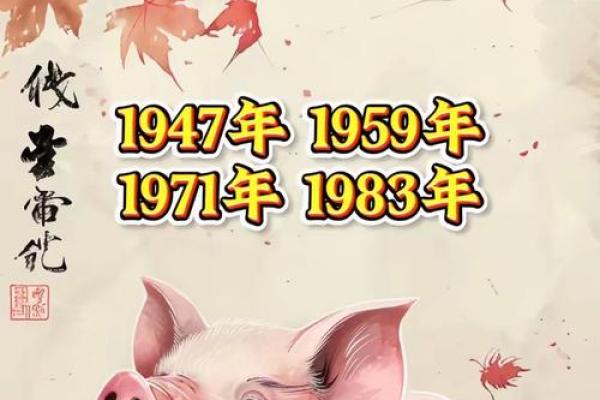 属猪的15岁生日，命理解析与人生启示