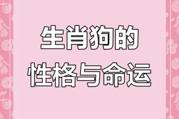 94年属狗，命运与性格解析：揭开你的生肖秘密
