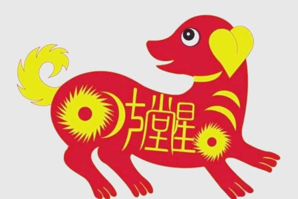狗年鸡命，如何与命运共舞，开启更美好的生活？