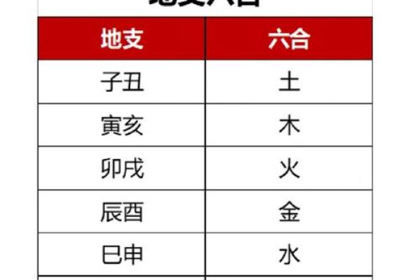 属鸡的命理解析：五行与性格的奥秘之旅