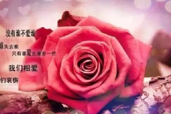 命惹桃花：一段关于爱与缘分的奇幻旅程