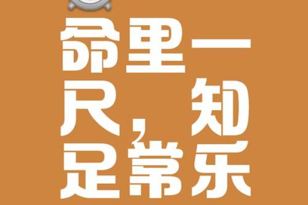 生命的命：探寻“命”字背后的智慧与意义