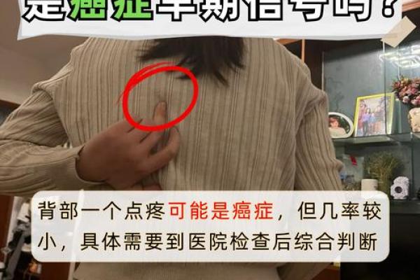 探秘：后背黑点的真正含义与命运解析