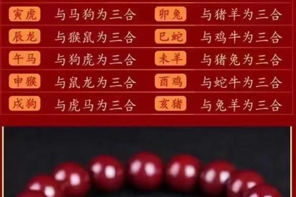 揭秘生死为命的生肖密码，解读你的命运之钥！
