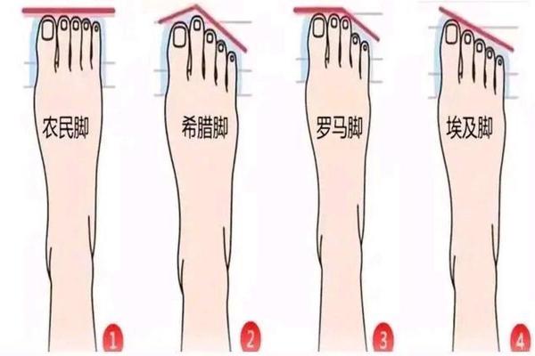 女生手脚宽大的命运解析与生活智慧分享