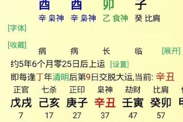解读辛亥、辛丑、壬子三命的命理特征与人生启示