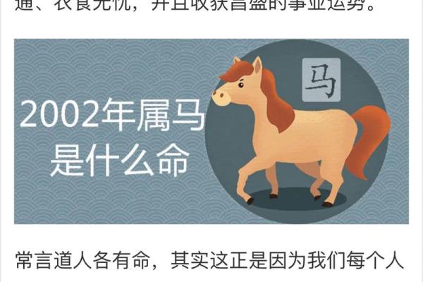 1678年属马命理探究：丰富多彩的命运与人生智慧