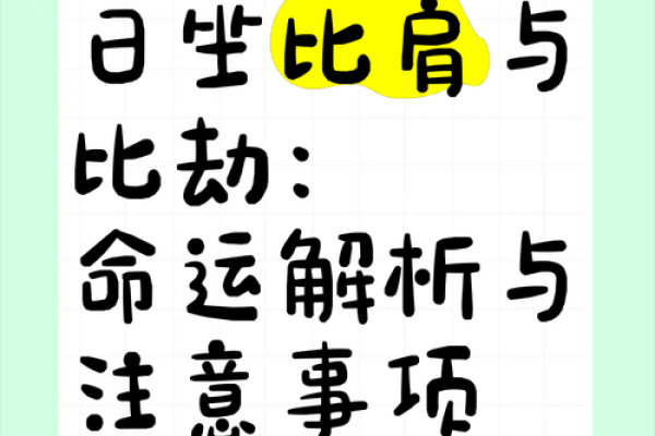 1995年10月6日出生的人生轨迹与命运解析