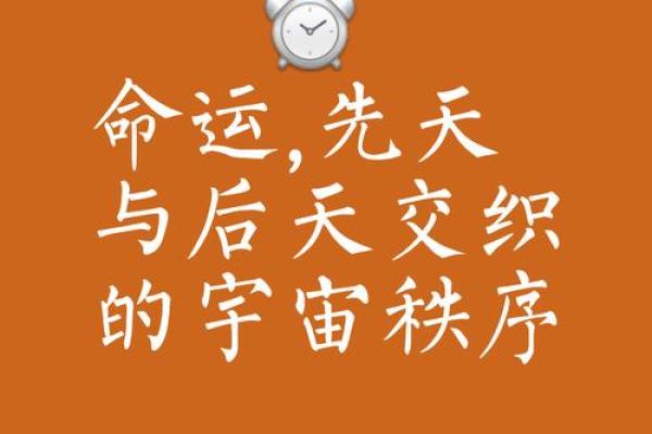 探秘“命度”：揭示人生中千丝万缕的命运联系！