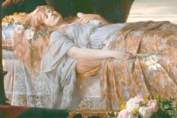 探索莲花命女人的世界：她们独特的灵性与魅力