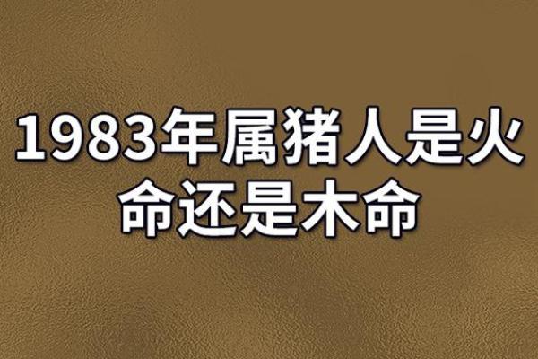 2007年猪命：命格分析与补救之法，助你走上人生巅峰！