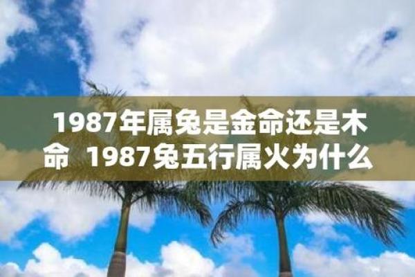 揭开1987火兔命的神秘面纱：缺什么才能更幸运？