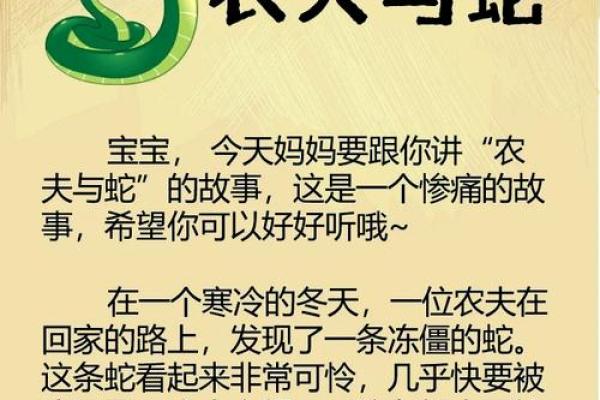 1938年：蛇年里的故事与人情温暖的回忆