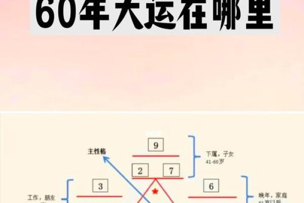 根据生日探寻命运：揭示你的生命轨迹与命理奥秘