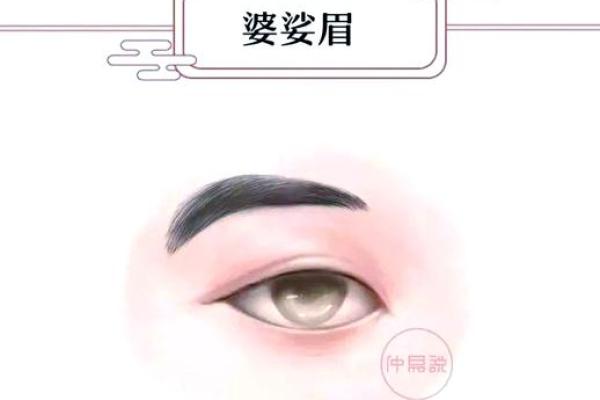 天生有眉毛的命运解读：五种生活状态的背后故事