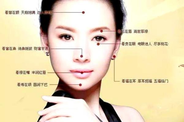 天生有眉毛的命运解读：五种生活状态的背后故事