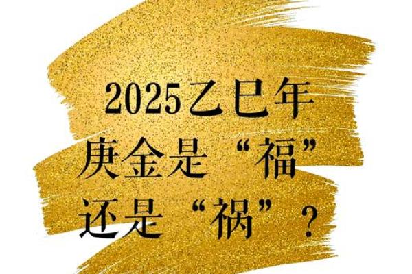 命是福：探讨生命中的机遇与挑战