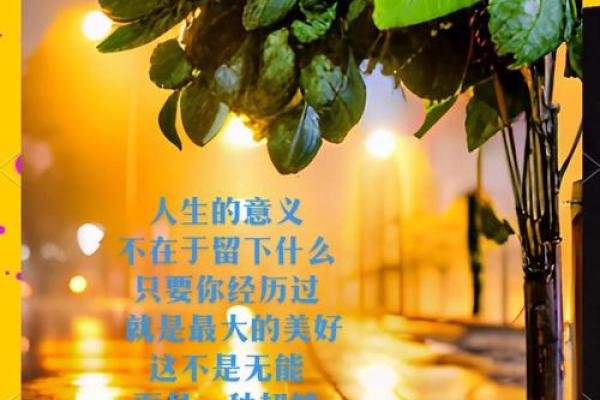 乙木命的人生智慧：如何在生活中保持平衡与和谐