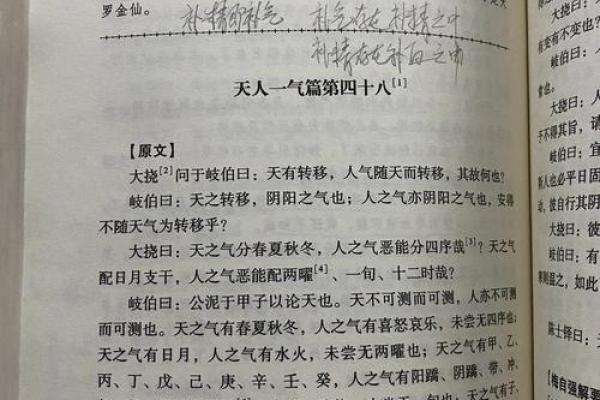 探索道教命理思想：天人合一的智慧与奥秘