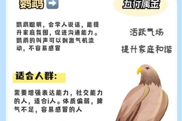 天上火命的人适合养什么宠物？探讨火命与宠物的完美结合！