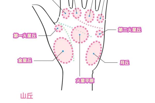揭开掌纹的秘密：女人的命运与幸福的掌控之道