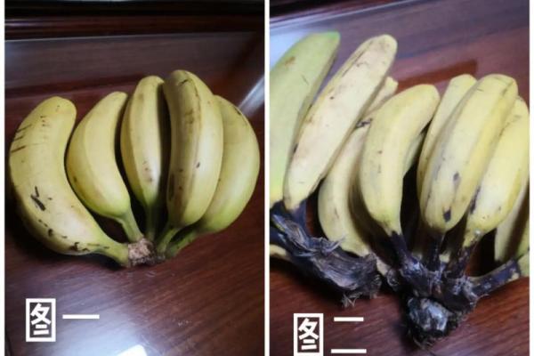看香蕉的人是什么命？揭示你与香蕉之间的秘密！