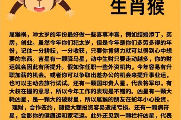 80年猴年出生者的命理探秘：他们缺什么，如何弥补？