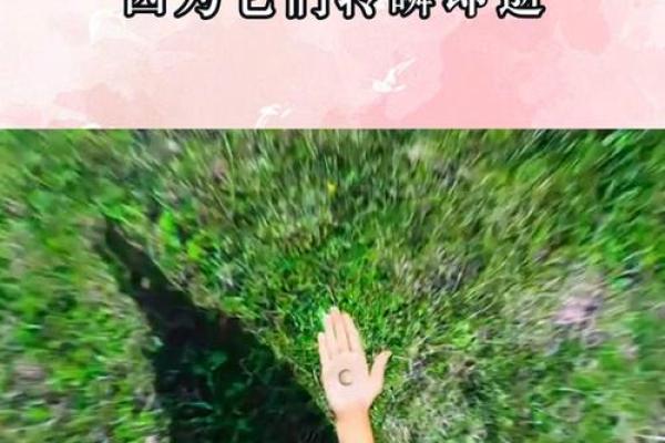 腊月十八：珍惜时光，探寻岁末的温暖与意义