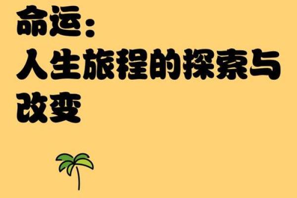 正午出生者的命格解析：光辉与挑战并存的生命旅程