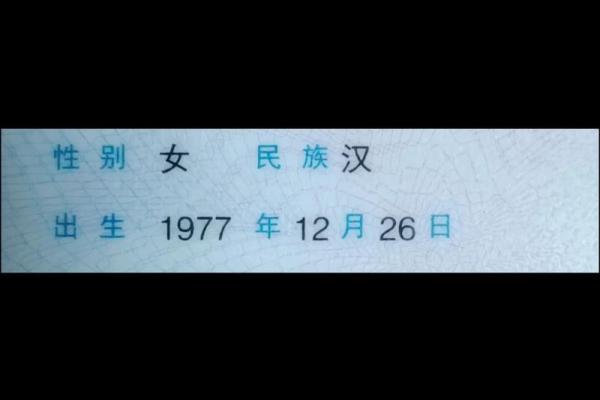 1998年腊月十九：那一天的奇妙记忆与启示