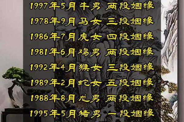 92年腊月26日出生的人命运揭秘：你的星宿指引之路