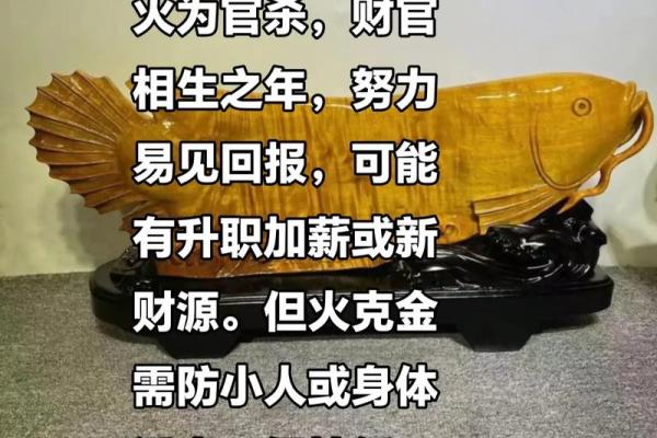 火命人适合哪些专业？助你找到职业方向的黄金钥匙！