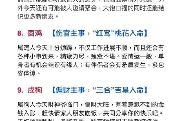 1982年属狗人的命理解析：东四命的独特之处与人生运势
