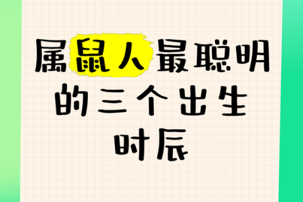61岁属鼠人命运揭秘：财富与智慧的完美结合
