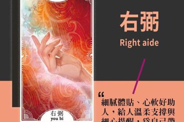 揭秘主命格与辅命格的区别，开启属于你的命理之旅！