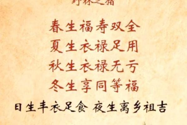 1995年正月出生的你，命运与个性全解析！