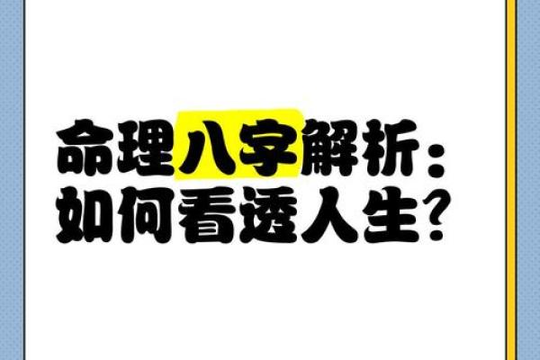 13年出生的人命理解析：探索他们的人生与运势