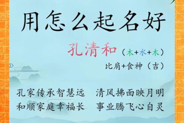 属猪大海水命的人生指引：如何把握机遇与挑战