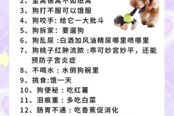 如何判断自己的命是否适合养宠物？
