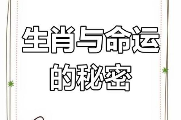命最贵的生肖：探寻命运的奥秘与价值